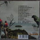 KUUKUMINA - SIEMPRE PA'LANTE (CD) - pikkukuva 2