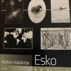 ESKO VALTAOJA: KAIKEN TEORIA - pikkukuva 1