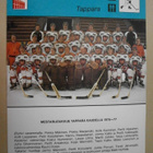 Concert Hall, Jääkiekko, Tappara - pikkukuva 1