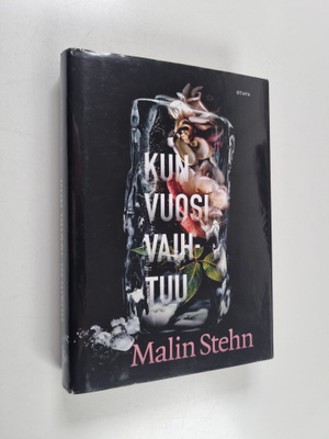 Malin Stehn : Kun vuosi vaihtuu
