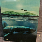 The Shallows ( Blu-ray) Steelbook - pikkukuva 4