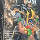 Batman & Robin Ihmepoika - Frank Miller - pikkukuva 1