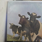 PINK FLOYD - ATOM HEART MOTHER can.83 M-/M- LP - pikkukuva 2