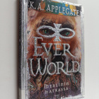 Katherine Applegate : Merlinin matkassa - pikkukuva 1