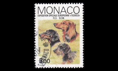 Monaco 1857 o Mäyräkoiranäyttely (1988)
