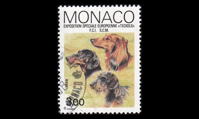 Monaco 1857 o Mäyräkoiranäyttely (1988)