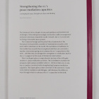 Strengthening the EU's peace mediation capacities : lever... - pikkukuva 2