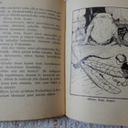 SATUKONTTI - HAUSKOJA SATUJA LAPSILLE (1924) - pikkukuva 3