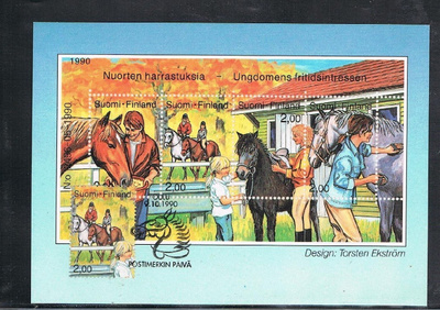 Maksimikortti - Nuorten hevosharrastus -90