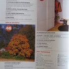 Meidän talo 11/2006 - pikkukuva 3