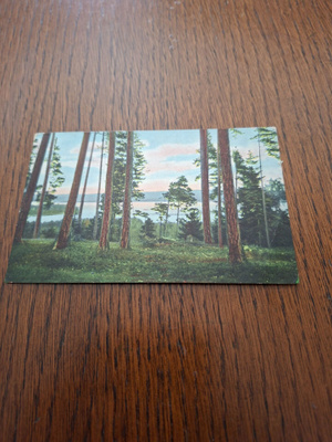 0 Ruovesi Nuijanharju