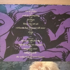 Louise Hoffsten - Stygg LP - pikkukuva 3