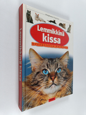 Stephane Frattini : Lemmikkinä kissa