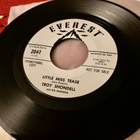 TROY SHONDELL and His Snowmen: Trouble * Little Miss Tease - pikkukuva 2
