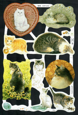 MLP 1815 - Kiiltokuva-arkki - Suloiset kissat - Ivory cats
