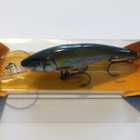 RAPALA Scatter Rap Tail Dancer 9cm, 13g Väri: Live Ayu - pikkukuva 1
