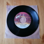 Pretty Things – Remember That Boy 7" orig 1975 Pop Rock - pikkukuva 2