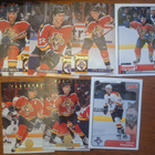 Florida Panthers 8kpl - pikkukuva 1