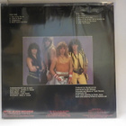 PANDEMONIUM - HOLE IN THE SKY US -85 M-/M- LP - pikkukuva 2