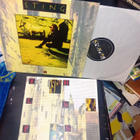LP Sting : Ten Summoner's Tales ( SIS POSTIKULU ) - pikkukuva 1
