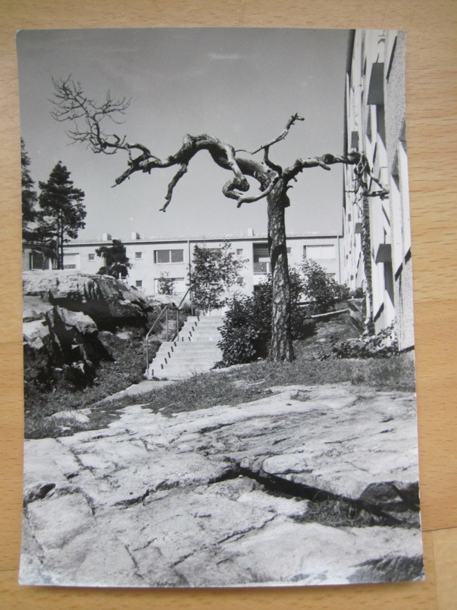 VANHA Postikortti Espoo Tapiola 1950-l Alkup. Mallikappale