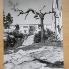 VANHA Postikortti Espoo Tapiola 1950-l Alkup. Mallikappale - pikkukuva 1