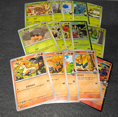Pokémon Heat Wave Arena Korea