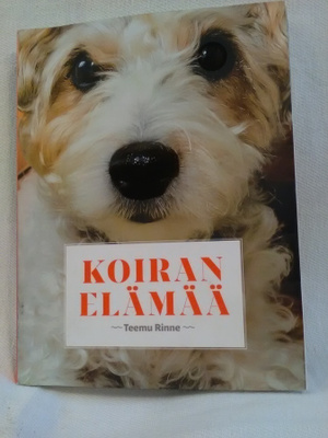 Koiran elämää - Teemu Rinne 1.p