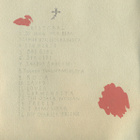 Devendra Banhart Devendra Banhart – Smokey Rolls Down Thunde - pikkukuva 3