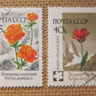 CCCP 1960: kukkia - pikkukuva 3