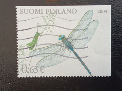 -03 Kesä Pihapiirissä