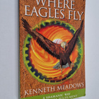 Kenneth Meadows : Where Eagles Fly : A Shamanic Way to Pe... - pikkukuva 1