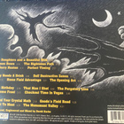 Drive-By Truckers: Brighter Than Creation’s Dark (2008) cd - pikkukuva 2