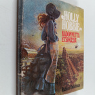 Richard Dubelman : Holly Hobbie : kadonnutta etsimässä - pikkukuva 1