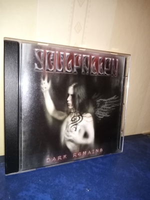 CD : SOULFALLEN : DARK REMAINS
