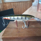 Rapala Barra Magnum 11cm - pikkukuva 1