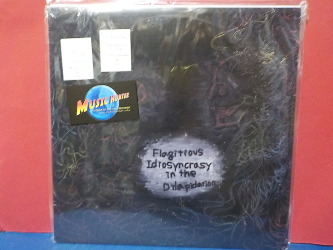 FLAGITIOUS IDIOSYNCRASY IN THE DILAPIDATION - S/T M-/M- LP
