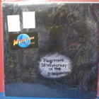 FLAGITIOUS IDIOSYNCRASY IN THE DILAPIDATION - S/T M-/M- LP - pikkukuva 1
