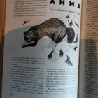Eränkävijä vuosikirja - pikkukuva 3