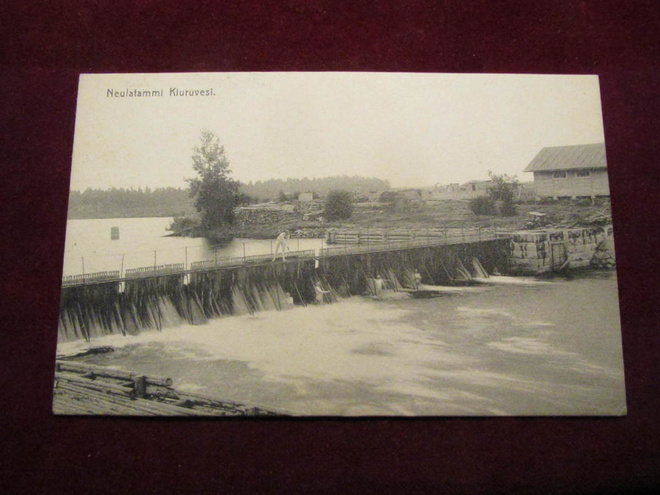 Neulatammi. Kiuruvesi (Iisalmi)