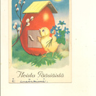 VIKAINEN ,,,, TIPU OVELLA ,,,, KUVAT. 314 - pikkukuva 1