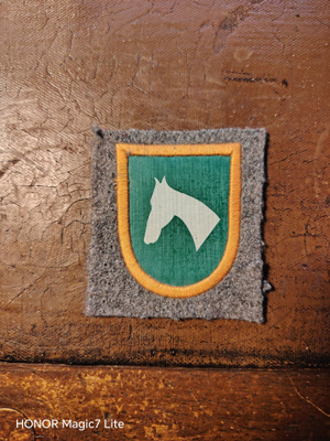 Koulutushaaramerkki m49