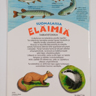 Paula Hihnala : Suomalaisia eläimiä : tarratietokirja - pikkukuva 2