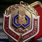CCCR Kunniamerkki Maanparrannusainessa. Kullattu Ronssia. Em - pikkukuva 5