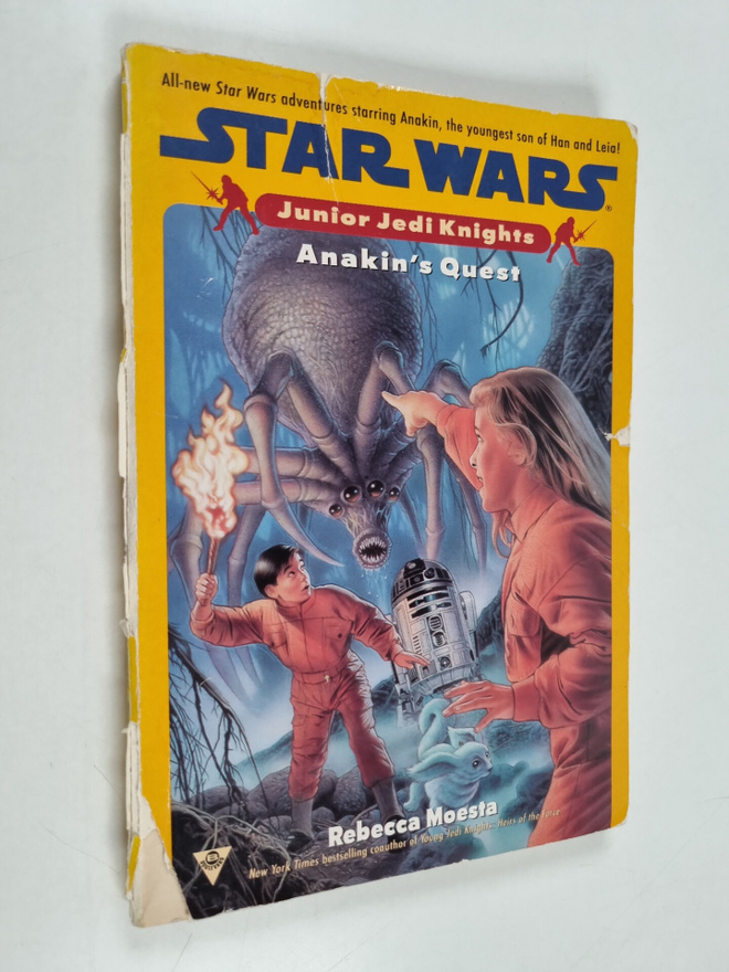 Rebecca Moesta : Anakin's Quest