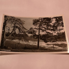 Langinkoski - pikkukuva 1