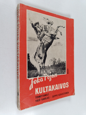 Joka pojan kultakaivos