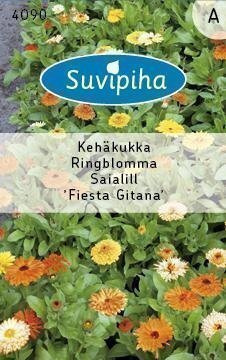 Kehäkukka "Fiesta Gitana" siemenet #