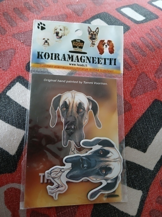 Tanskandoggi - koira magneetti