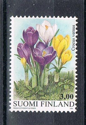 1999  Krookus  ++